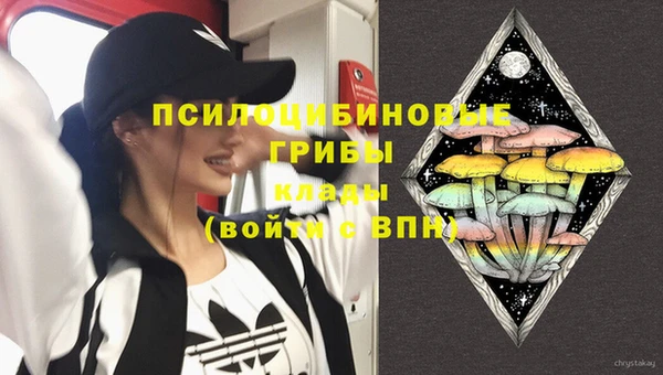 мескалин Снежногорск