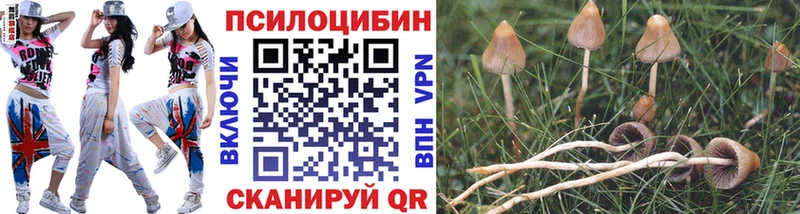 Псилоцибиновые грибы прущие грибы  Сясьстрой 